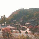 섬뜰농원 이미지