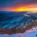 일출전자 이미지