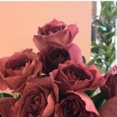 장미유통 이미지