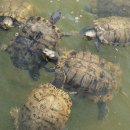 번성농장 이미지