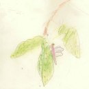 박성현농장 이미지