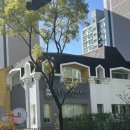 (주)청심어학원 (구:청심유치원) | 2026 평촌 프랜시스 파커 설명회 후기