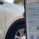 키노크 이미지