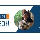 두드림공연장 정기공연 이미지