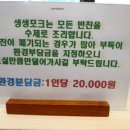 3949생생포크 - 안동시 황토마을길 10 | 3949생생포크