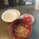 돈까스광명 || 합정에서 제일 맛있는 돈까스는 고개를 들어주세요 (광명 고개를 든다)