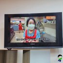 피자캣 이미지