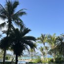 (주)네오썬 | 해외로가자 오키!나와 3-4🇯🇵🏝️