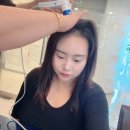 웰킨호텔 | 부산 서면 웰킨두피탈모센터 !! 두피관리