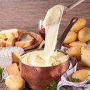 알리고(ALIGOT)