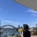 라벤더민박 이미지