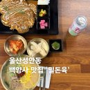 백양사한우 옆 | 울산 성안동 백양사맛집 밀면과돈까스 주차장도완벽 아이와 가도 좋은 '밀돈육'