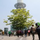 문경시장애인종합복지관 | HAMA.C)] '키다리 하마' 프로젝트 - 2분기 하마씨의 행복여행 / 문경시 장애인 종합복지관 <자원봉사 후기>