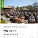 경기둘레길 안성39코스 | [경기둘레길 안성39코스] 관천마을 정류장에서 부터 칠장사까지 가는 둘레길