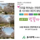 신광주택 Daum카페