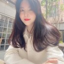 더비디 이미지