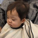 13개월 도도형제 두 번째 머리 자르기✂️ 셀프 이발 대참사 후 긴급 미용실행😂