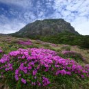 다시가고싶은 이미지