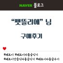 펫 뜰 네이버블로그