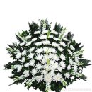 봉암동255 이미지