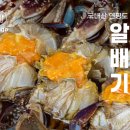 (주)빙고씨푸드 이미지