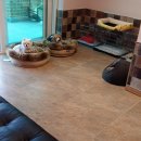 카페 프랜즈 이미지