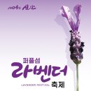 라벤더 이미지