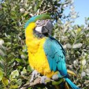 금강야채과일 이미지