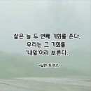 포리얼마케팅