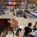모닝마트 73호 천상점 | [필리핀 세부] I Cebu U, 1일차🩵 수밀론 아일랜드, 오슬롭 고래상어, 램버그 바디안 비치