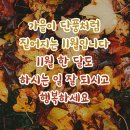 11월의 첫 주말입니다. 이미지