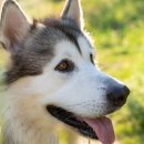 왕십리동물병원 이미지