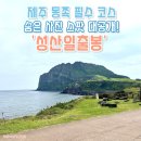 제주 성산일출봉 정상 후기 feat.나만 알고 싶은 숨은 사진 스팟 공개