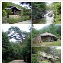 영남관 티스토리
