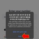 볼트빈 이미지