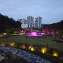 영흥수목원 야외 | 2025 수원 일월수목원 영흥수목원 야간개장 후기 아기랑 함께한 밤빛정원 나들이