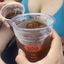 별하우스 | 양양 별게스트하우스&amp;서핑클럽 후기 - 여름휴가 가성비 끝판왕이었다