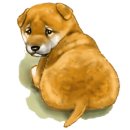 광남이네 이미지