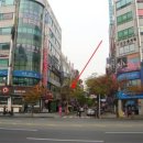 레드몰1차 이미지