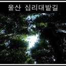 ◈아카데미 15기 60차 정기산행 - 울산 염포산 & 태화강 생태공원 십리대밭길 투어◈ 이미지