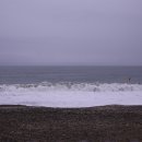 관성솔밭해변 이미지