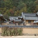 세손아이