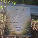 짓, 백야 시화판 교체729 이미지