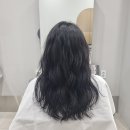 바미살롱 이미지