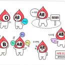 호랑이짐 이미지
