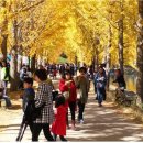 은행1리 이미지