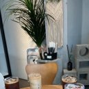 태양목장2 이미지