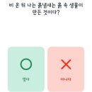 비노트 키즈
