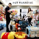 펫 파라다이스 이미지