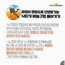 현대교통 기업노동조합 | 현대차 노조, &#39;노란봉투법&#39; 칼날 들이대며 신사업·해외 진출까지 &#39;OK&#39; 요구…산업계 &#39;초긴장&#39;